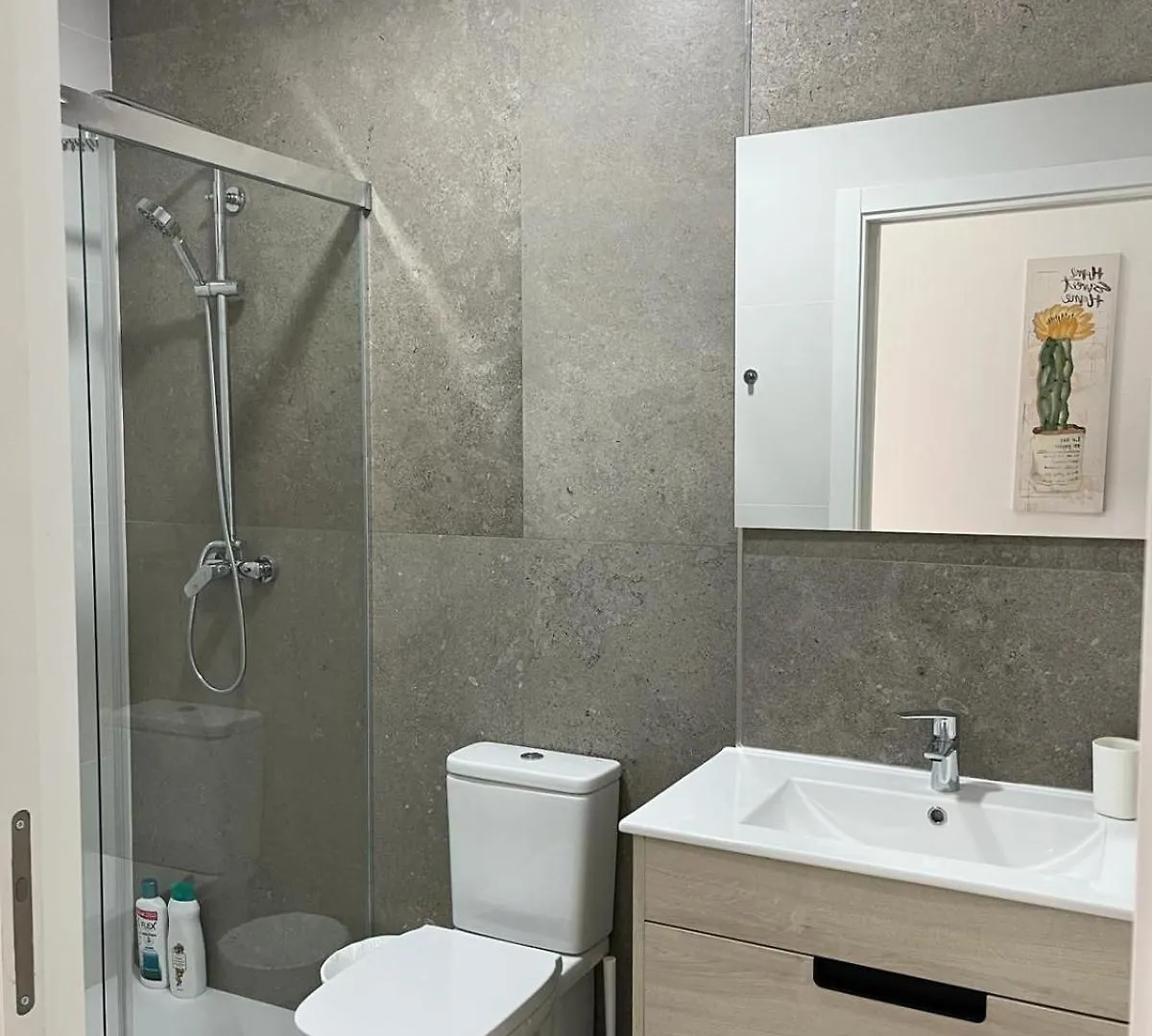 Austria 05 Apartment Lebrija 0*,